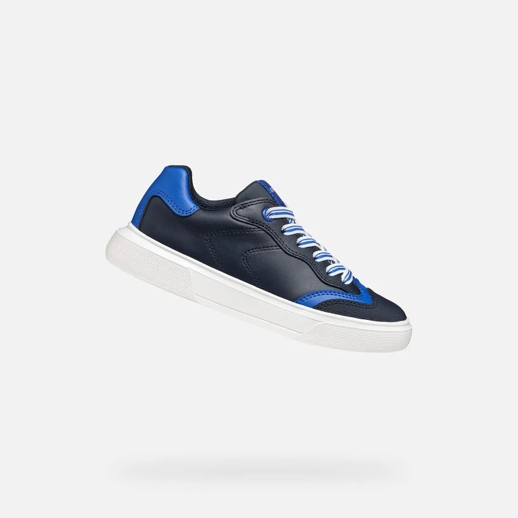 Navy/Royal