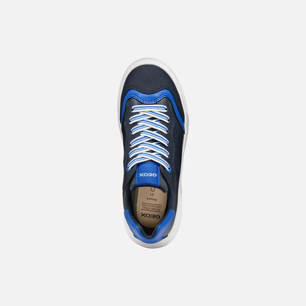 Navy/Royal