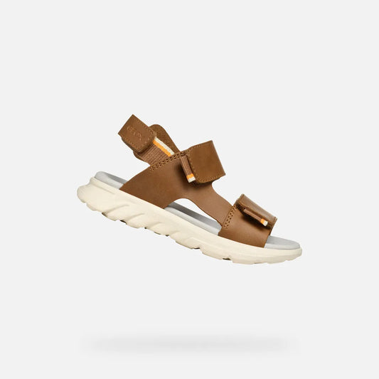 Light Brown/Orange