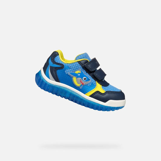 Navy/Azure