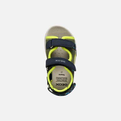 Pistachio/Navy
