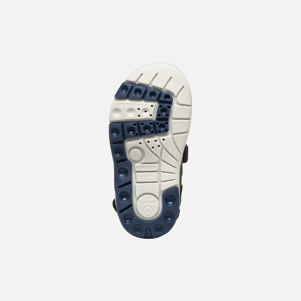 Pistachio/Navy
