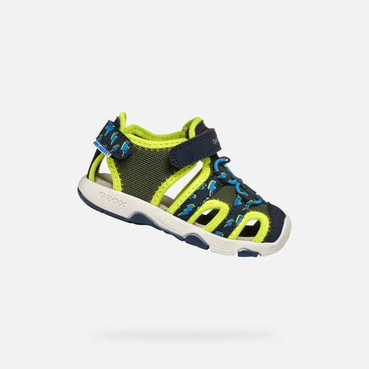 Pistachio/Navy