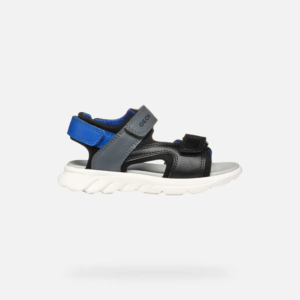 Black/Royal
