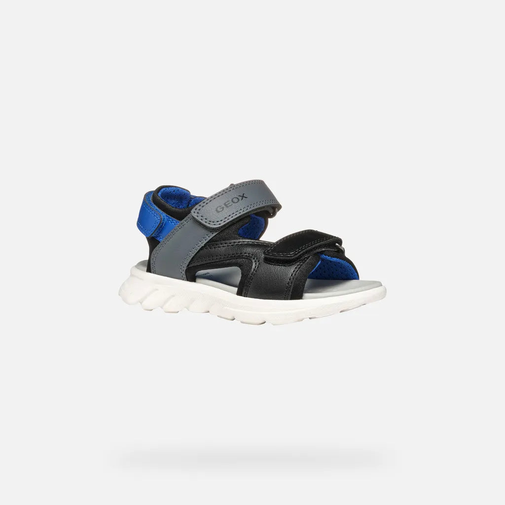 Black/Royal