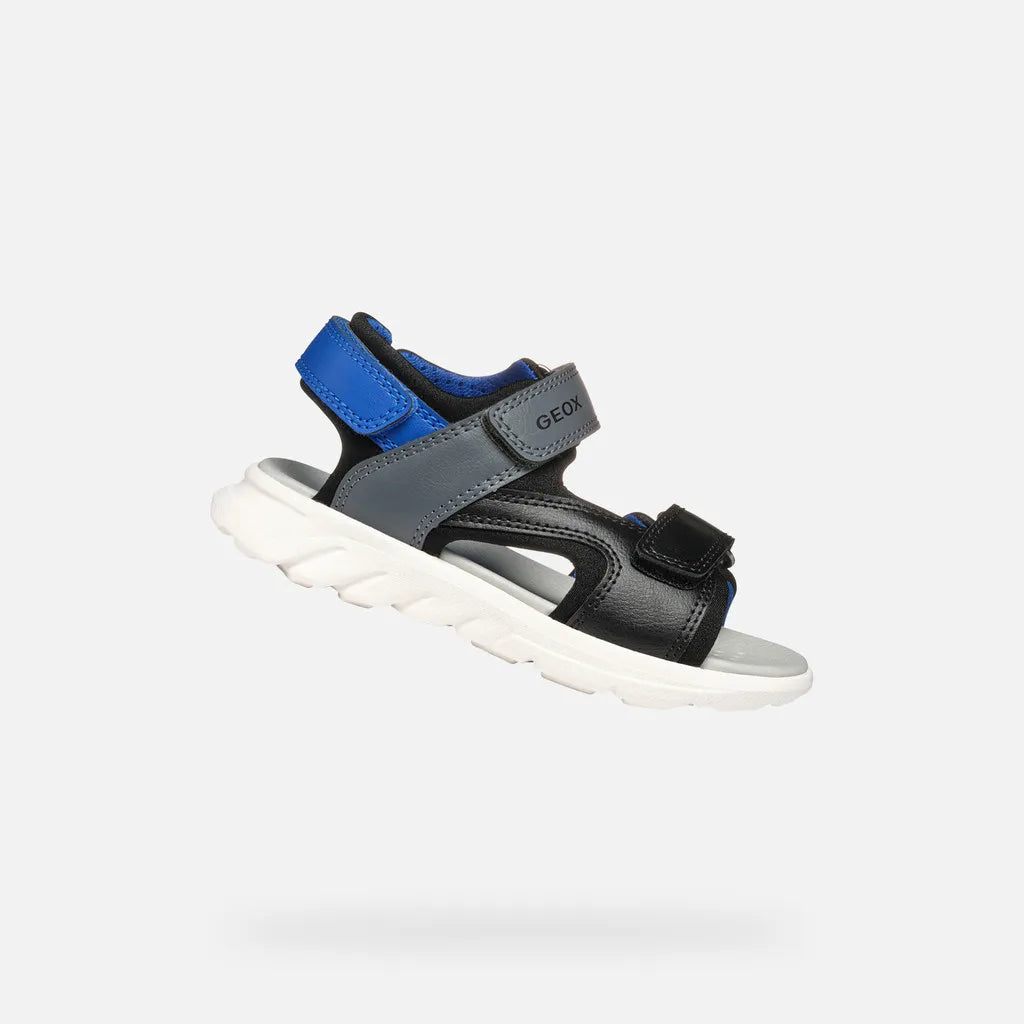 Black/Royal