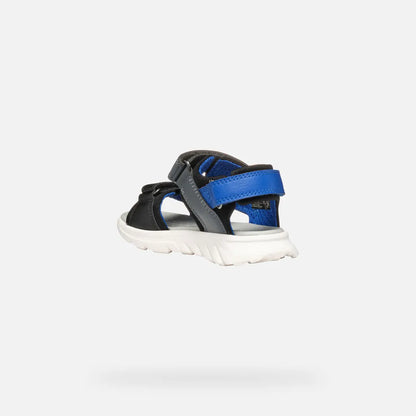 Black/Royal
