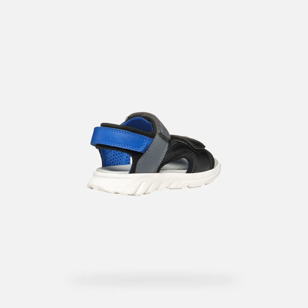 Black/Royal