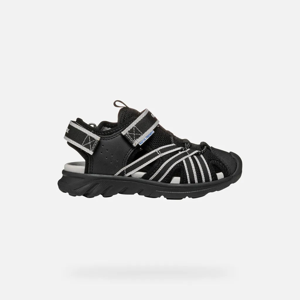 Black/Gray