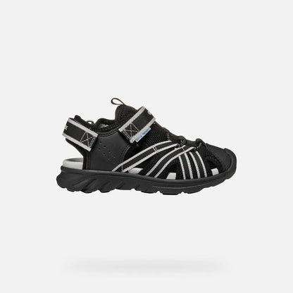 Black/Gray