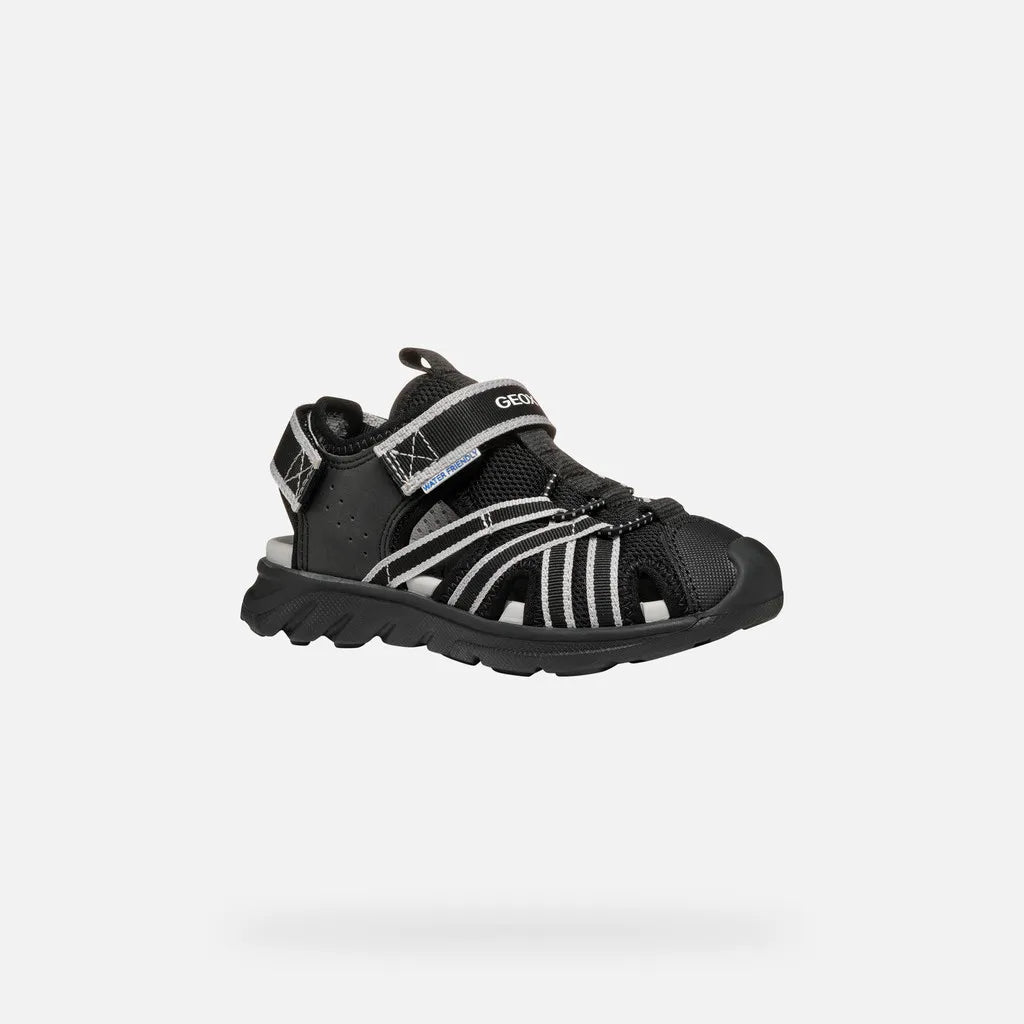 Black/Gray