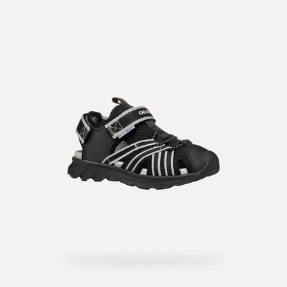 Black/Gray