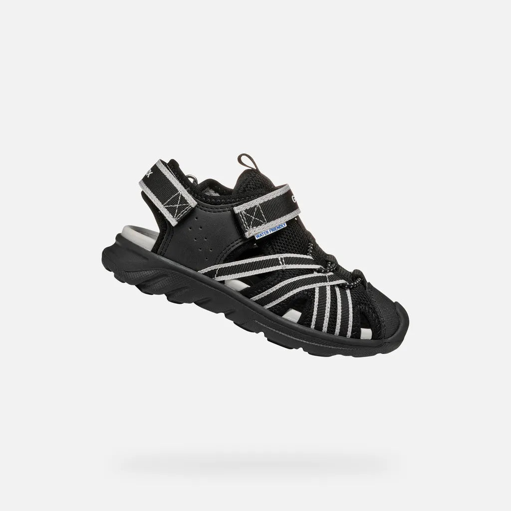 Black/Gray