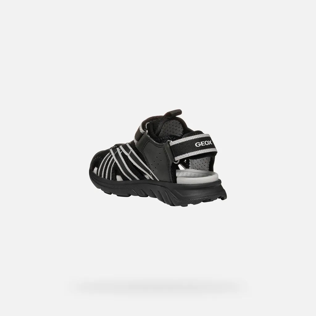 Black/Gray