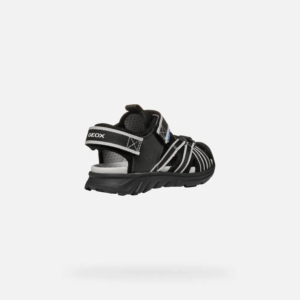 Black/Gray