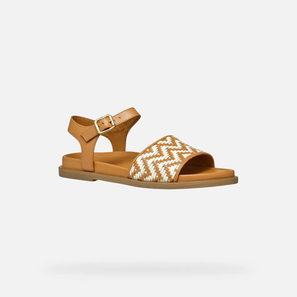 Camel/Papyrus