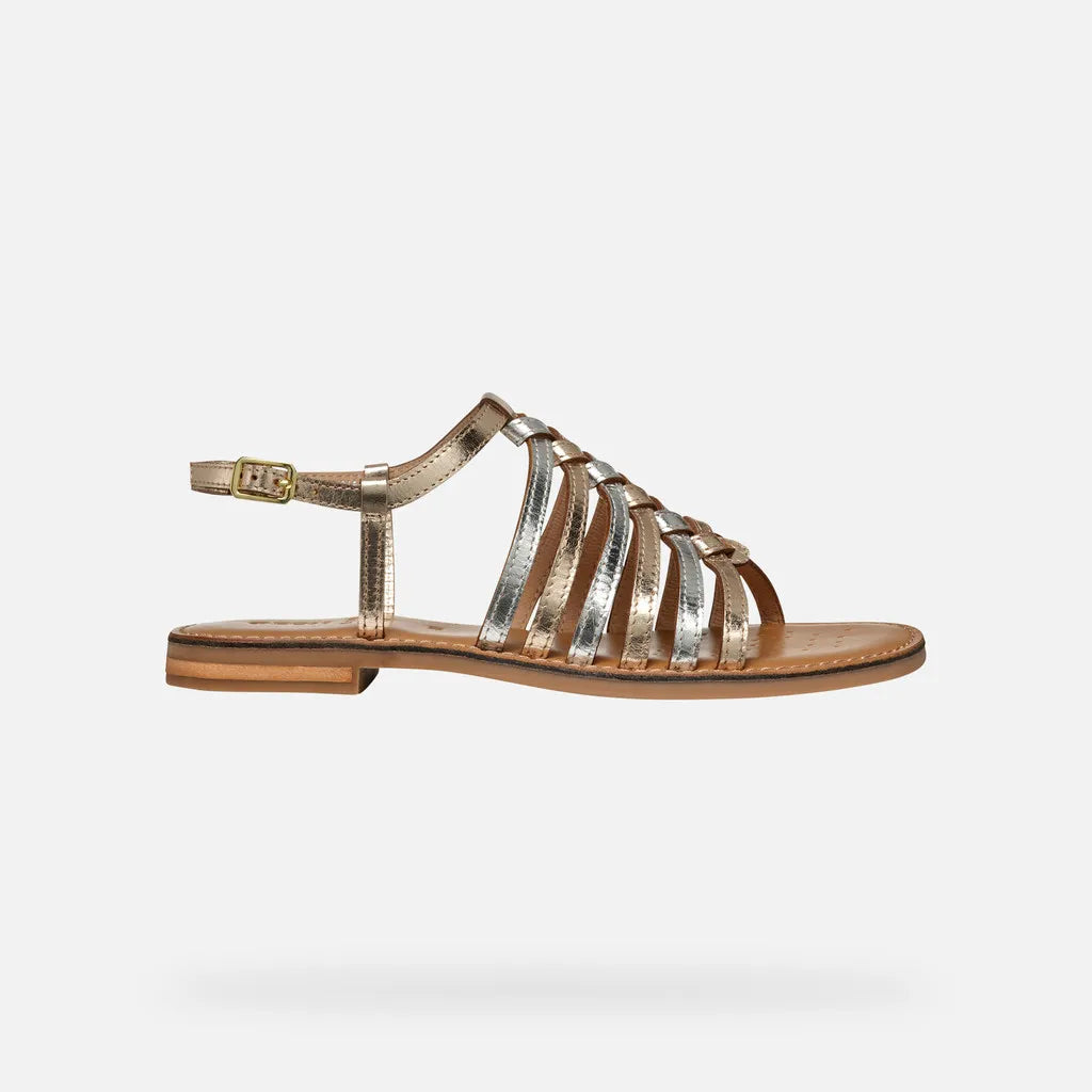 Light Gold/Silver