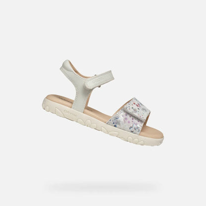 Off White/Multicolor