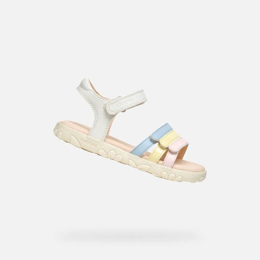 White/Multicolor