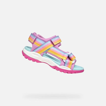 Dark pink/Multicolor
