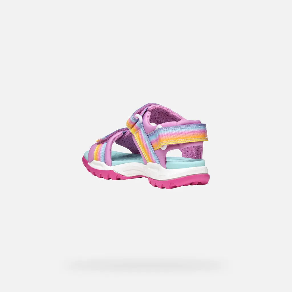 Dark pink/Multicolor