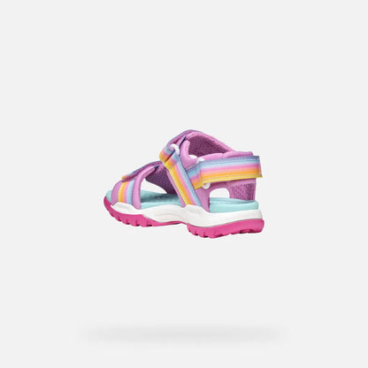 Dark pink/Multicolor
