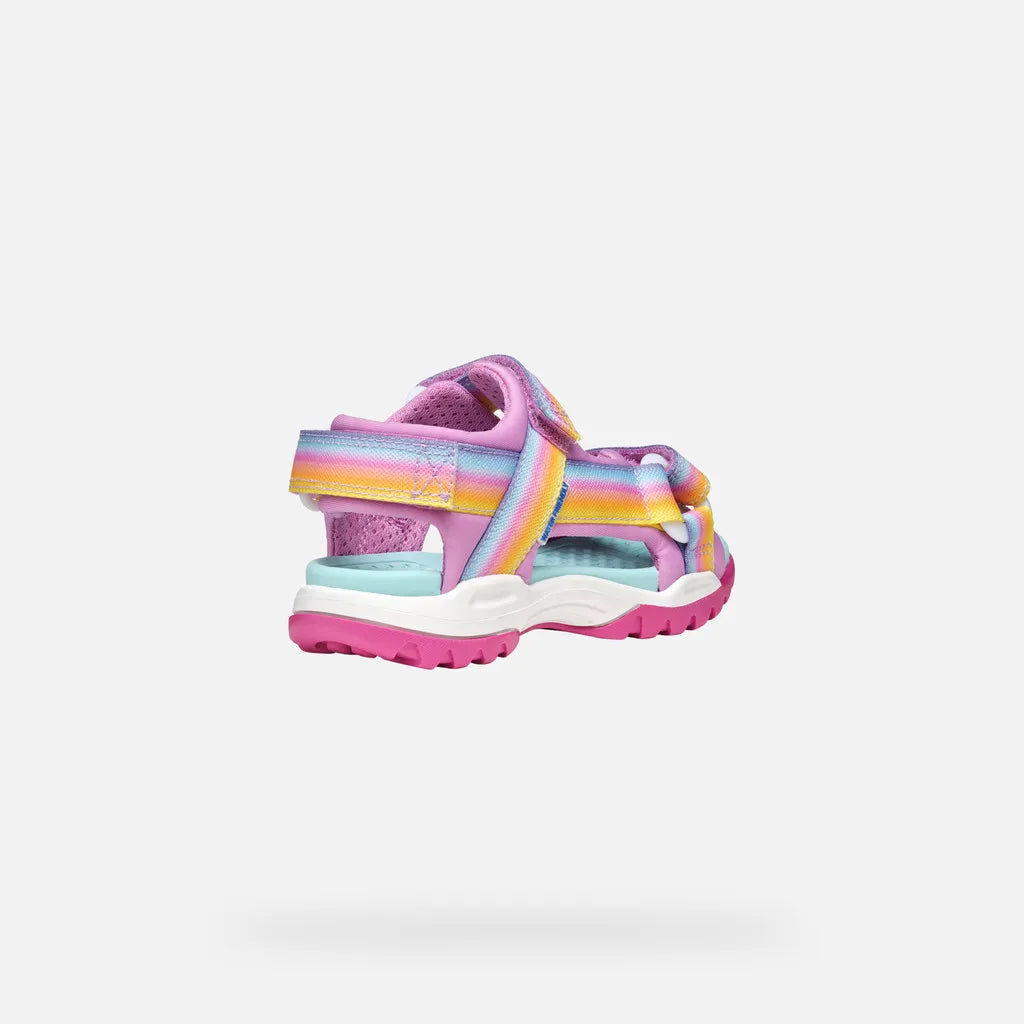 Dark pink/Multicolor