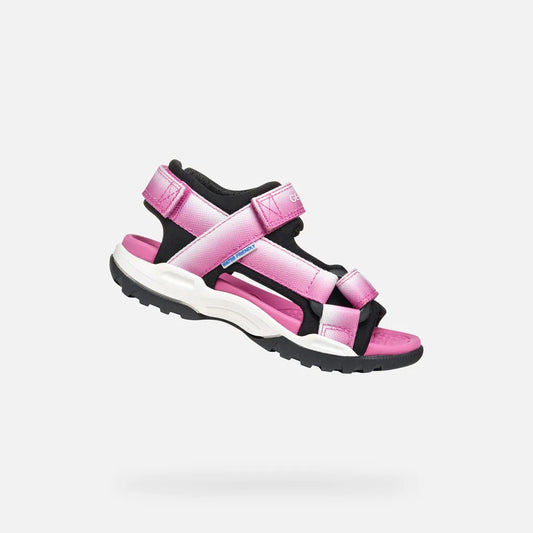 Fuchsia/Black
