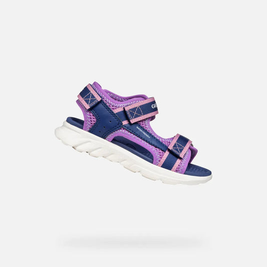 Navy/Purple