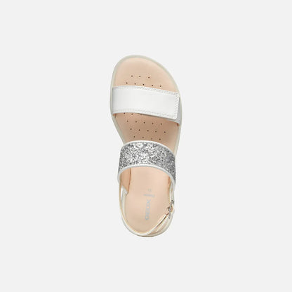 White/Light silver