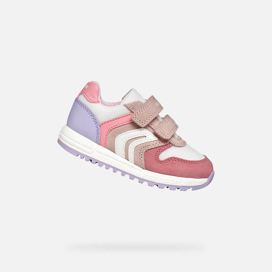 Light Rose/White