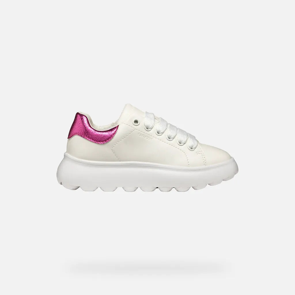 White/Fuchsia
