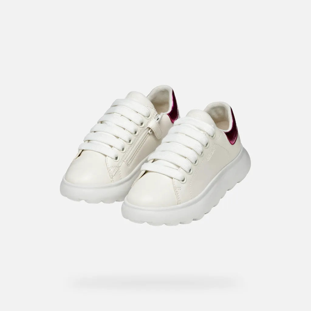White/Fuchsia