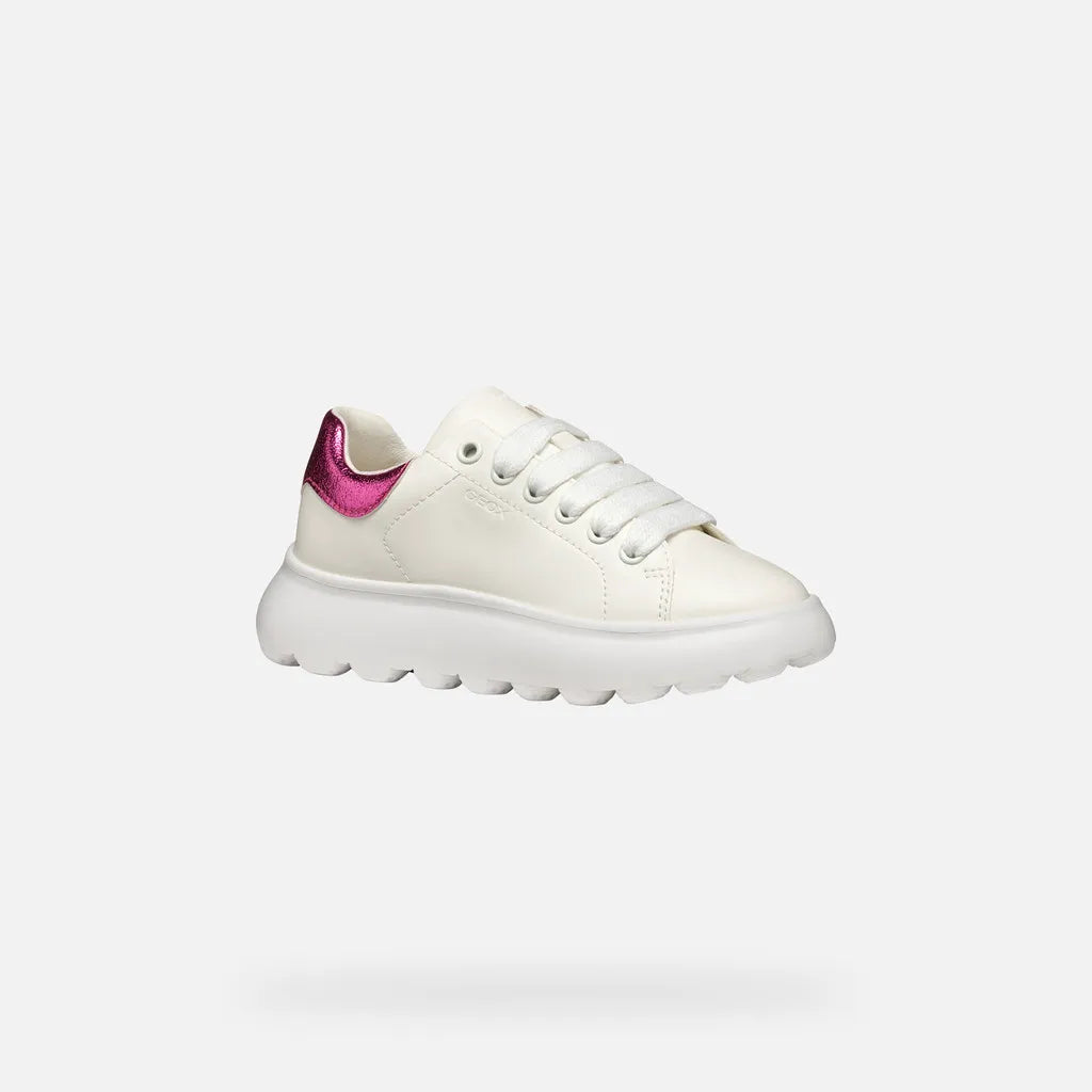 White/Fuchsia