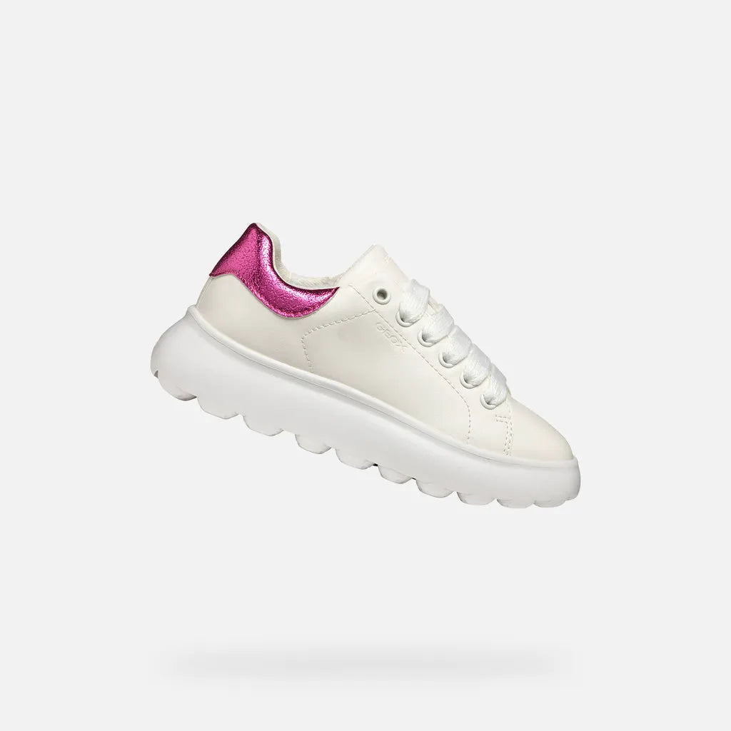 White/Fuchsia