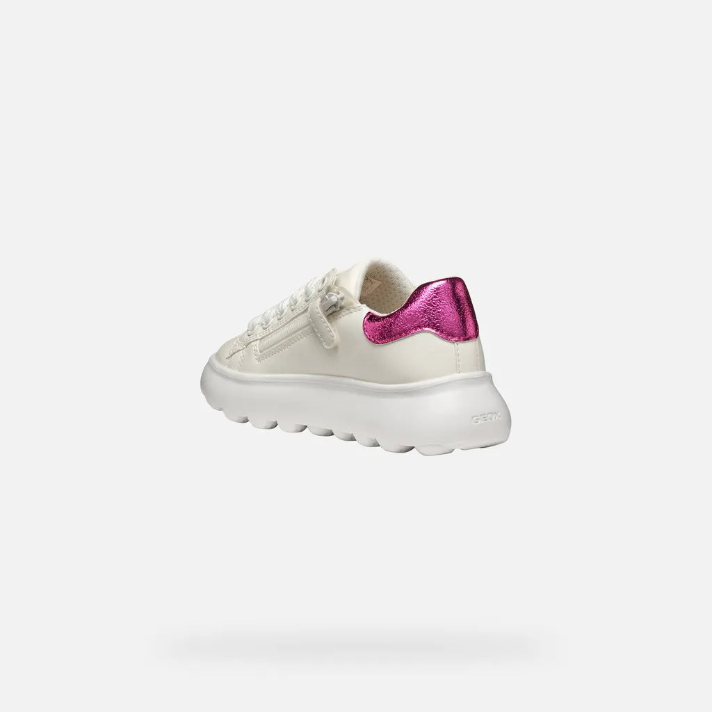 White/Fuchsia