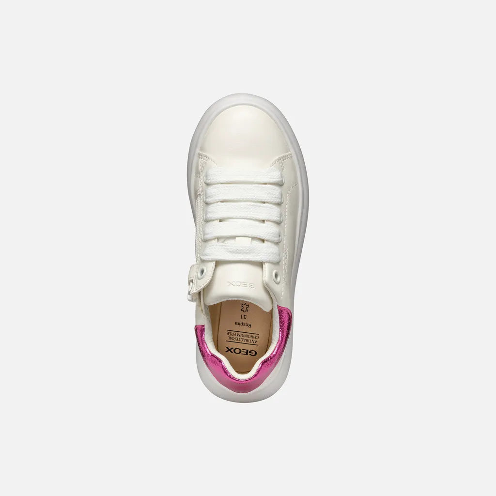 White/Fuchsia