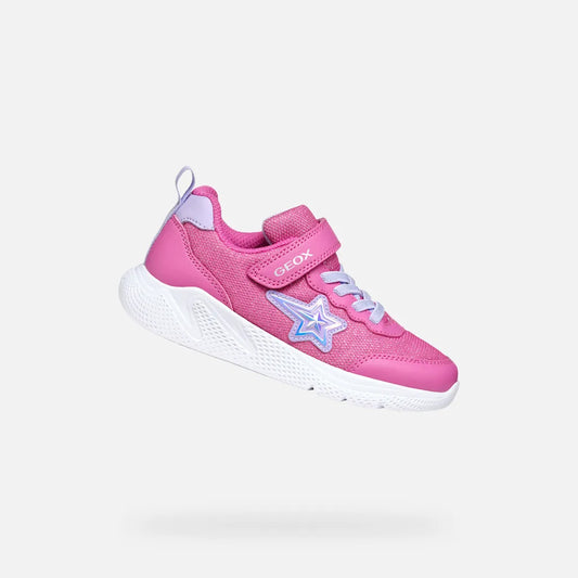 Fuchsia/Lilac