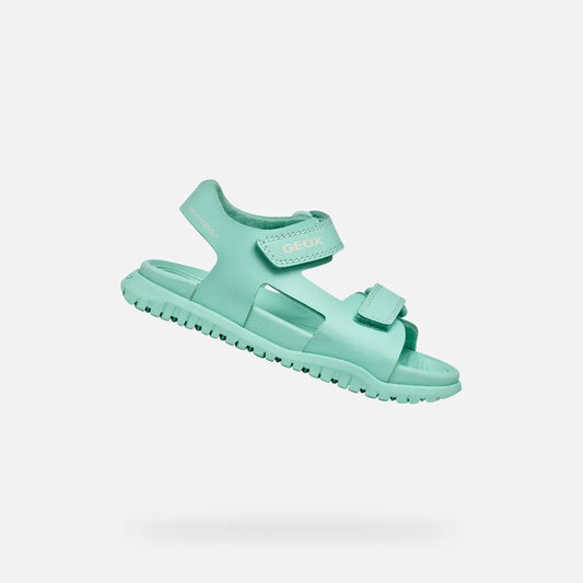 Sea Green
