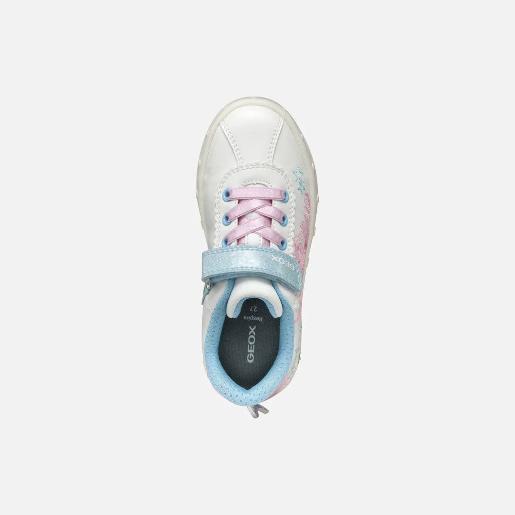 White/Pink