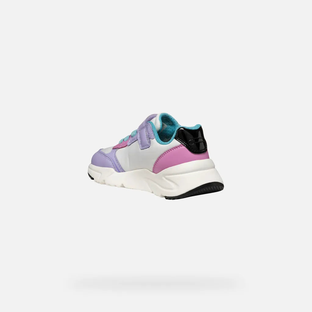 Lilac/Turquoise