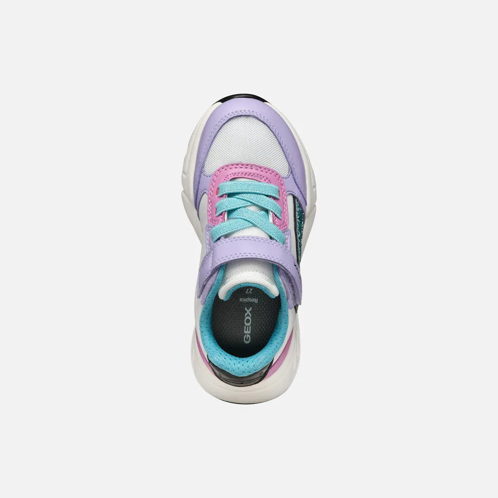 Lilac/Turquoise