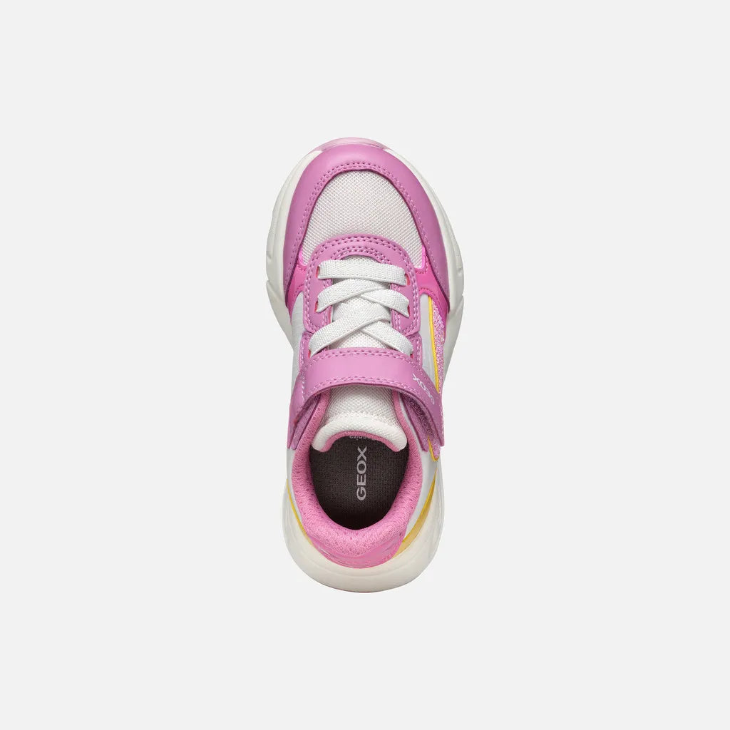 Dark Pink/Yellow