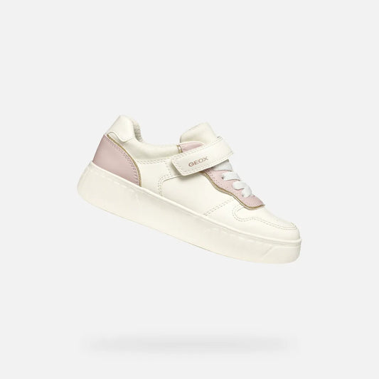 Light ivory/Light rose