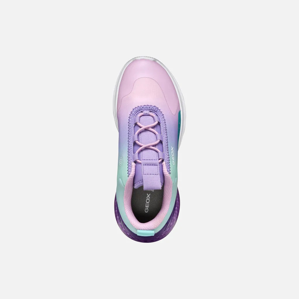 Sea Green/Lilac