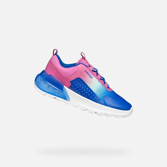 Fuchsia/Royal