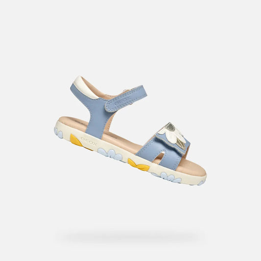Light Avio/White