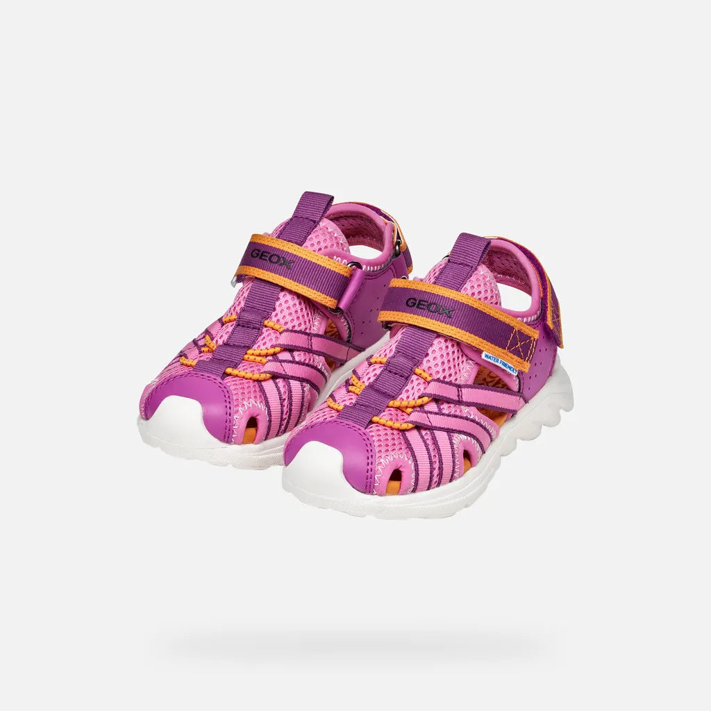 Fuchsia/Orange