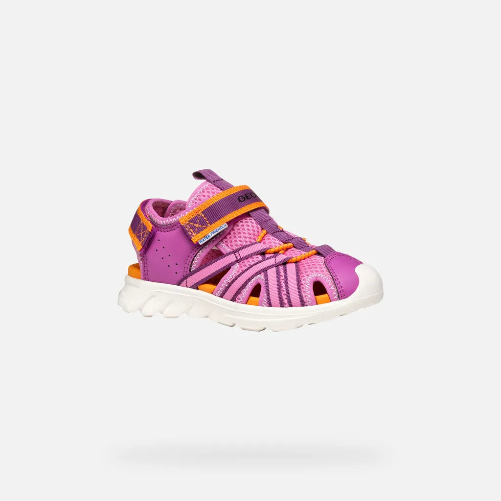 Fuchsia/Orange