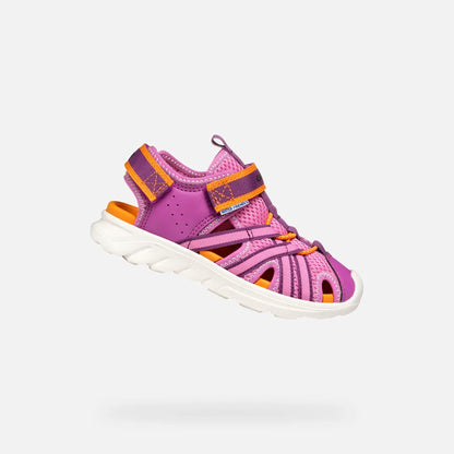 Fuchsia/Orange